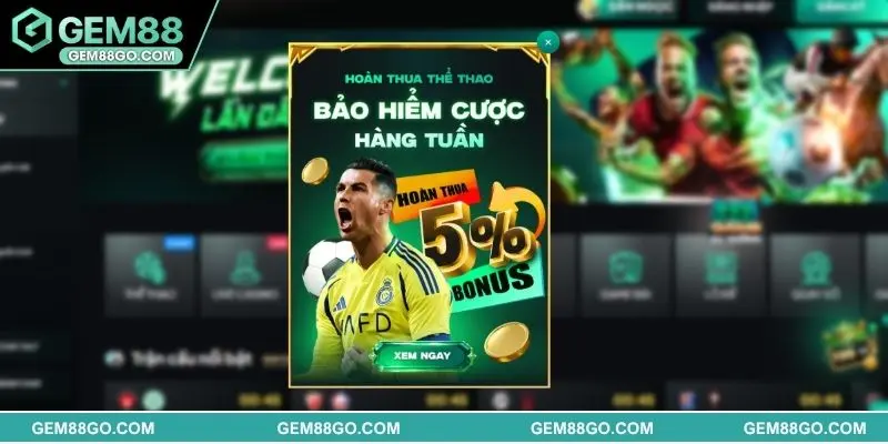 Hội viên phải chủ động bảo mật thông tin cá nhân và tài khoản cược